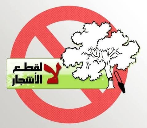 لا لقطع الأشجار - انذار 1