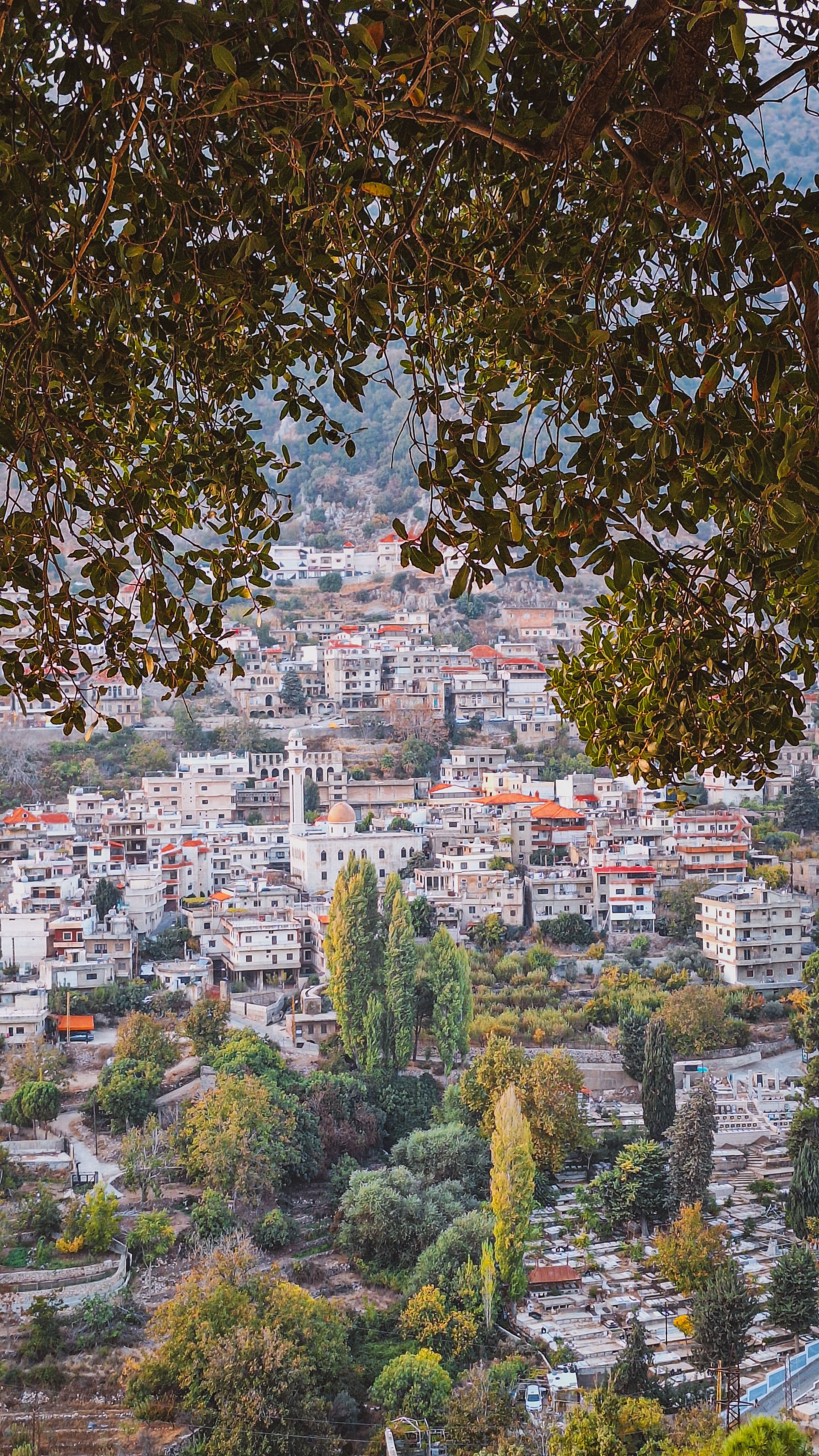 مشهد من بلدة مشغرة